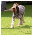 Filename=J-Phoebe.jpg
Filesize=419KiB
Dimensions=782x850
Date added=May 26, 2014 J-Phoebe.jpg
