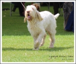 Filename=L-EcclesCake-2.jpg
Filesize=480KiB
Dimensions=993x850
Date added=May 26, 2014 L-EcclesCake-2.jpg