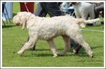 Filename=L-EcclesCake-4.jpg
Filesize=686KiB
Dimensions=1293x850
Date added=May 26, 2014 L-EcclesCake-4.jpg