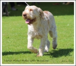Filename=L-MisterMister-3.jpg
Filesize=509KiB
Dimensions=972x850
Date added=May 26, 2014 L-MisterMister-3.jpg