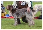 Filename=L-Niamh-1.jpg
Filesize=734KiB
Dimensions=1220x850
Date added=May 26, 2014 L-Niamh-1.jpg