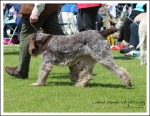Filename=L-Niamh-2.jpg
Filesize=664KiB
Dimensions=1099x850
Date added=May 26, 2014 L-Niamh-2.jpg