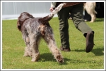 Filename=L-Niamh-3.jpg
Filesize=615KiB
Dimensions=1257x850
Date added=May 26, 2014 L-Niamh-3.jpg