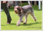 Filename=L-Niamh.jpg
Filesize=622KiB
Dimensions=1181x850
Date added=May 26, 2014 L-Niamh.jpg