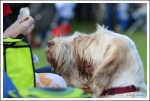 Filename=Spincognito-1.jpg
Filesize=410KiB
Dimensions=1259x850
Date added=May 26, 2014 Spincognito-1.jpg