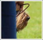 Filename=Spincognito-4.jpg
Filesize=274KiB
Dimensions=900x850
Date added=May 26, 2014 Spincognito-4.jpg