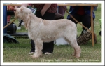 Filename=A RudeToPoint.jpg
Filesize=378KiB
Dimensions=1066x675
Date added=May 26, 2014 A RudeToPoint.jpg