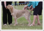 Filename=B BearlyALady.jpg
Filesize=386KiB
Dimensions=1066x743
Date added=May 26, 2014 B BearlyALady.jpg