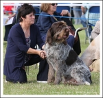 Filename=Bellissimo-Boy-1.jpg
Filesize=546KiB
Dimensions=1066x1021
Date added=May 26, 2014 Bellissimo-Boy-1.jpg