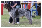 Filename=Bellissimo-Boy.jpg
Filesize=395KiB
Dimensions=1066x713
Date added=May 26, 2014 Bellissimo-Boy.jpg