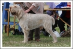 Filename=C Cesario.jpg
Filesize=415KiB
Dimensions=1066x731
Date added=May 26, 2014 C Cesario.jpg