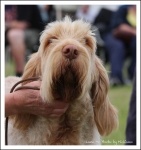 Filename=F BlondeAmbition-3.jpg
Filesize=396KiB
Dimensions=1006x1066
Date added=May 26, 2014 F BlondeAmbition-3.jpg
