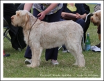 Filename=F BlondeAmbition.jpg
Filesize=451KiB
Dimensions=1066x826
Date added=May 26, 2014 F BlondeAmbition.jpg