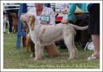 Filename=R FairDinkum.jpg
Filesize=423KiB
Dimensions=1066x756
Date added=May 26, 2014 R FairDinkum.jpg