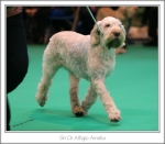 Filename=A-Amelia-2.jpg
Filesize=311KiB
Dimensions=925x809
Date added=May 26, 2014 A-Amelia-2.jpg