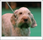 Filename=A-Amelia-3.jpg
Filesize=284KiB
Dimensions=880x808
Date added=May 26, 2014 A-Amelia-3.jpg