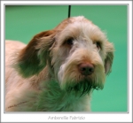 Filename=A-Fabrizio-3.jpg
Filesize=320KiB
Dimensions=870x807
Date added=May 26, 2014 A-Fabrizio-3.jpg