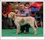Filename=A-Fabrizio.jpg
Filesize=322KiB
Dimensions=837x750
Date added=May 26, 2014 A-Fabrizio.jpg