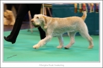 Filename=A-RudeAwakening-2.jpg
Filesize=436KiB
Dimensions=1243x825
Date added=May 26, 2014 A-RudeAwakening-2.jpg