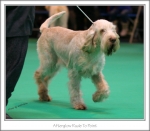Filename=A-RudeToPoint-2.jpg
Filesize=314KiB
Dimensions=923x809
Date added=May 26, 2014 A-RudeToPoint-2.jpg