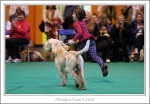 Filename=A-RudeToPoint-3.jpg
Filesize=420KiB
Dimensions=1177x822
Date added=May 26, 2014 A-RudeToPoint-3.jpg