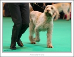 Filename=A-Viviana-2.jpg
Filesize=349KiB
Dimensions=1044x816
Date added=May 26, 2014 A-Viviana-2.jpg