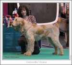 Filename=A-Viviana.jpg
Filesize=280KiB
Dimensions=829x750
Date added=May 26, 2014 A-Viviana.jpg