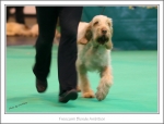 Filename=F-BlondeAmbition-2.jpg
Filesize=324KiB
Dimensions=1067x817
Date added=May 26, 2014 F-BlondeAmbition-2.jpg