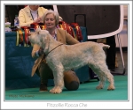 Filename=F-RoccaChe.jpg
Filesize=294KiB
Dimensions=899x753
Date added=May 26, 2014 F-RoccaChe.jpg
