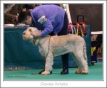 Filename=G-Amiata.jpg
Filesize=303KiB
Dimensions=910x755
Date added=May 26, 2014 G-Amiata.jpg