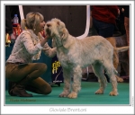 Filename=G-Brentoni.jpg
Filesize=284KiB
Dimensions=882x753
Date added=May 26, 2014 G-Brentoni.jpg