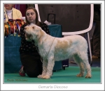 Filename=G-Giocoso.jpg
Filesize=262KiB
Dimensions=855x751
Date added=May 26, 2014 G-Giocoso.jpg