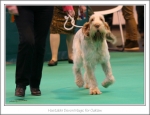 Filename=H-DevonMagic-2.jpg
Filesize=368KiB
Dimensions=1057x816
Date added=May 26, 2014 H-DevonMagic-2.jpg