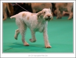 Filename=H-PinkGin-3.jpg
Filesize=344KiB
Dimensions=1075x817
Date added=May 26, 2014 H-PinkGin-3.jpg