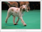 Filename=H-PinkGin-4.jpg
Filesize=354KiB
Dimensions=1059x816
Date added=May 26, 2014 H-PinkGin-4.jpg