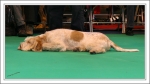 Filename=InTheRing-2.jpg
Filesize=514KiB
Dimensions=1426x799
Date added=May 26, 2014 InTheRing-2.jpg