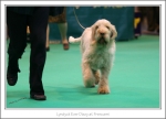 Filename=L-EverDizzy-2.jpg
Filesize=375KiB
Dimensions=1136x820
Date added=May 26, 2014 L-EverDizzy-2.jpg