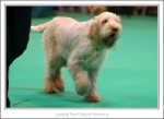 Filename=L-EverDizzy-3.jpg
Filesize=365KiB
Dimensions=1122x819
Date added=May 26, 2014 L-EverDizzy-3.jpg