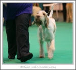 Filename=M-GoodAsGold-2.jpg
Filesize=283KiB
Dimensions=873x807
Date added=May 26, 2014 M-GoodAsGold-2.jpg
