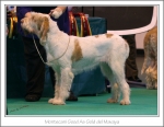 Filename=M-GoodAsGold.jpg
Filesize=403KiB
Dimensions=1048x816
Date added=May 26, 2014 M-GoodAsGold.jpg