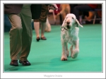 Filename=M-Grazia-2.jpg
Filesize=401KiB
Dimensions=1085x817
Date added=May 26, 2014 M-Grazia-2.jpg