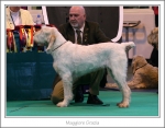 Filename=M-Grazia.jpg
Filesize=424KiB
Dimensions=1045x816
Date added=May 26, 2014 M-Grazia.jpg