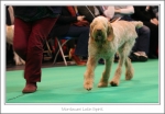 Filename=M-LatinSpirit-2.jpg
Filesize=413KiB
Dimensions=1178x822
Date added=May 26, 2014 M-LatinSpirit-2.jpg