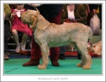 Filename=M-LatinSpirit.jpg
Filesize=418KiB
Dimensions=1040x816
Date added=May 26, 2014 M-LatinSpirit.jpg