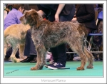 Filename=M-Rianna.jpg
Filesize=458KiB
Dimensions=1032x815
Date added=May 26, 2014 M-Rianna.jpg
