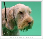 Filename=N-LuvToBoogie-3.jpg
Filesize=350KiB
Dimensions=901x808
Date added=May 26, 2014 N-LuvToBoogie-3.jpg