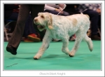 Filename=O-SilentKnight-2.jpg
Filesize=392KiB
Dimensions=1112x819
Date added=May 26, 2014 O-SilentKnight-2.jpg