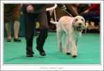 Filename=O-SilentKnight-4.jpg
Filesize=427KiB
Dimensions=1195x824
Date added=May 26, 2014 O-SilentKnight-4.jpg