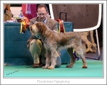 Filename=P-Topsyturvy.jpg
Filesize=406KiB
Dimensions=1011x813
Date added=May 26, 2014 P-Topsyturvy.jpg