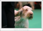 Filename=R-Capeci-2.jpg
Filesize=322KiB
Dimensions=1129x820
Date added=May 26, 2014 R-Capeci-2.jpg
